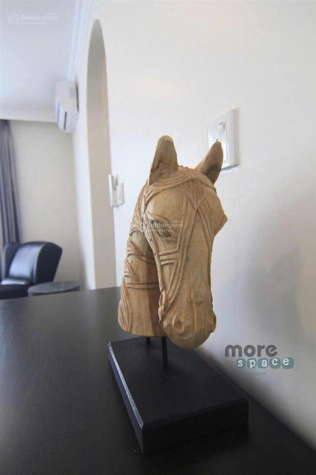 Căn hộ duplex 185m2 thạnh mỹ lợi  5 phòng ngủ, đầy đủ nội thất, sẵn ở ngay