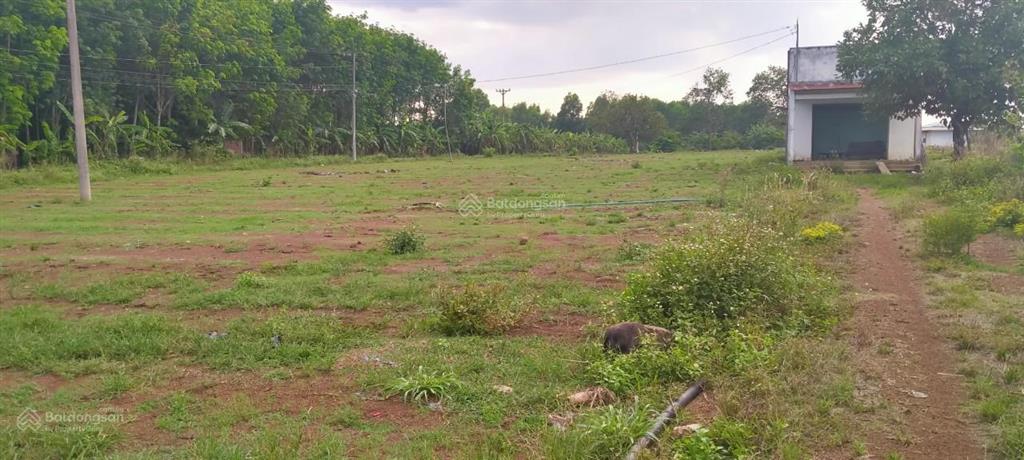 Cần bán 17.000m2 đất nông nghiệp ( đất trồng cây lâu năm )