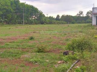 Cần bán 17.000m2 đất nông nghiệp ( đất trồng cây lâu năm )