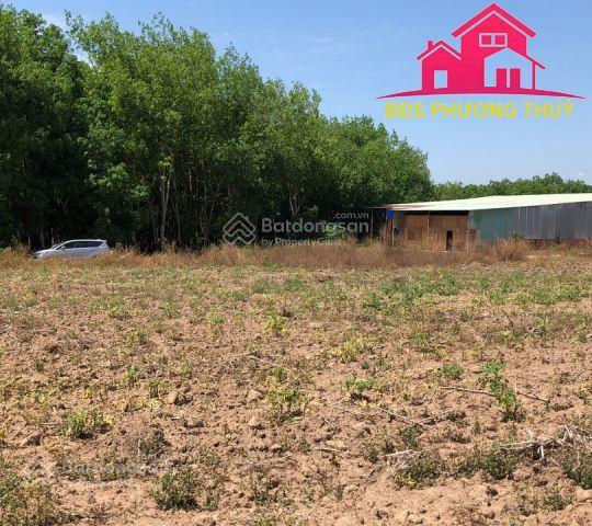 Cần bán 17.000m2 đất nông nghiệp ( đất trồng cây lâu năm )