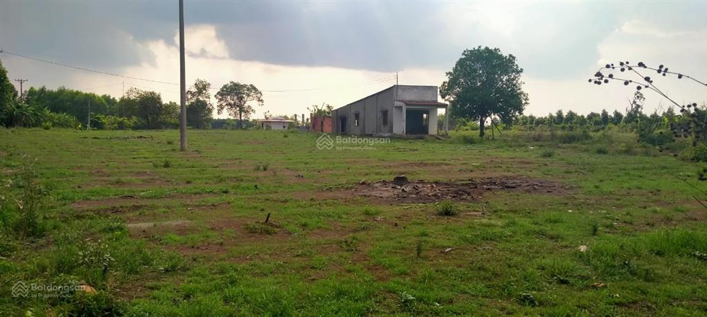 Cần bán 17.000m2 đất nông nghiệp ( đất trồng cây lâu năm )