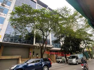 Chính chủ bán tòa building phố trần thái tông 126m2 x 8 tầng cầu giấy  hà nội