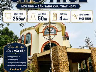 Do công ty thay đổi vị trí làm việc, cần cho thuê nguyên căn Biệt thự Nguyễn Văn Lộc, Làng Việt Kiều Châu Âu 