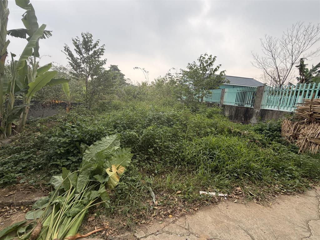 Chính chủ bán đất 102 mét phú cát giá chỉ nhỉnh 2 tỷ . đường rộng ô tô tránh nhau .