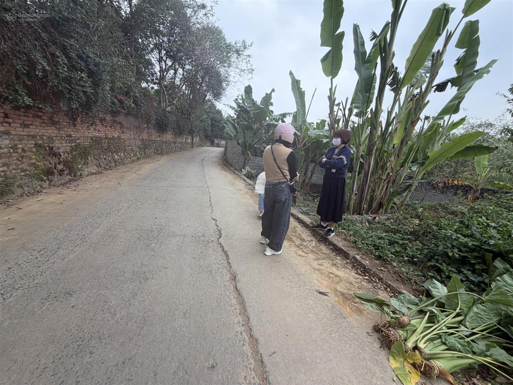 Chính chủ bán đất 102 mét phú cát giá chỉ nhỉnh 2 tỷ . đường rộng ô tô tránh nhau .