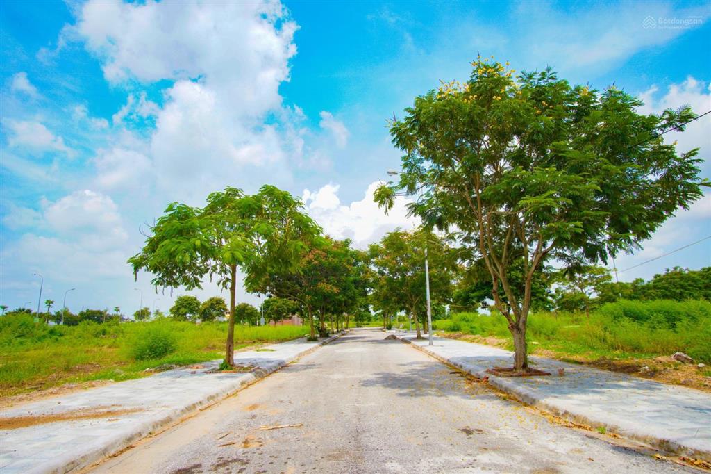 Dương kinh new city (anh dũng 6) hải phòng  0783 599 ***