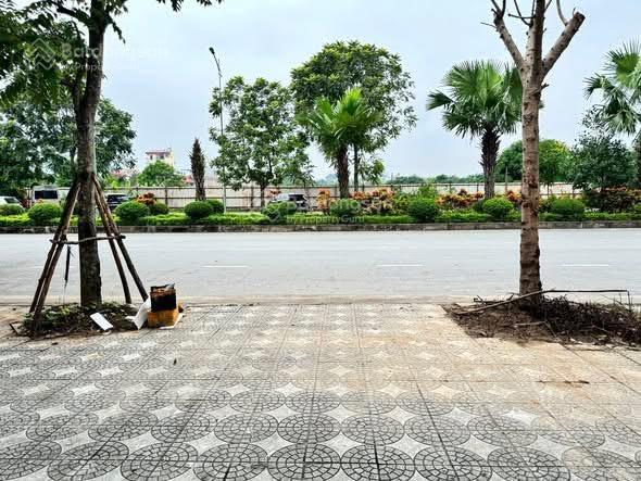 Shophouse mặt đường 40m văn tiễn dung kéo dài  đường 70 khu khu đô thị tasco foresa. nam từ liêm