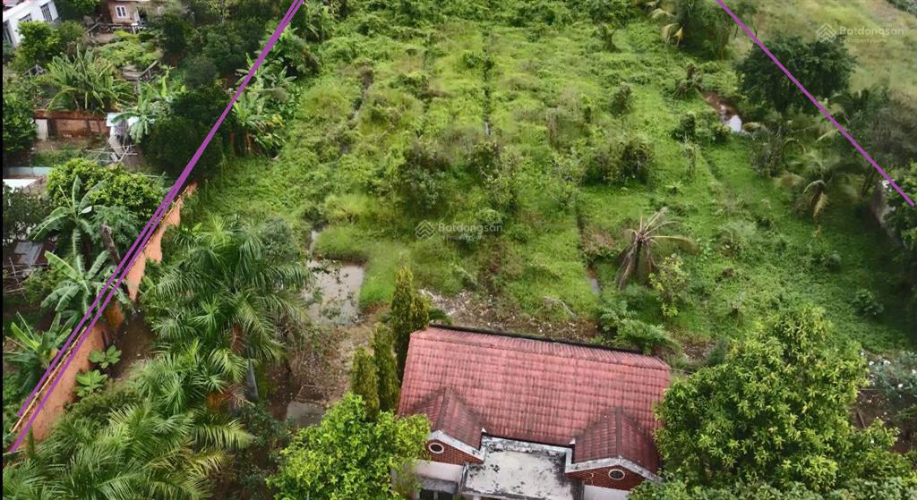 Chính chủ bán đất vườn bình mỹ 4.911 m2  hiện có 1.500 m2 thổ cư