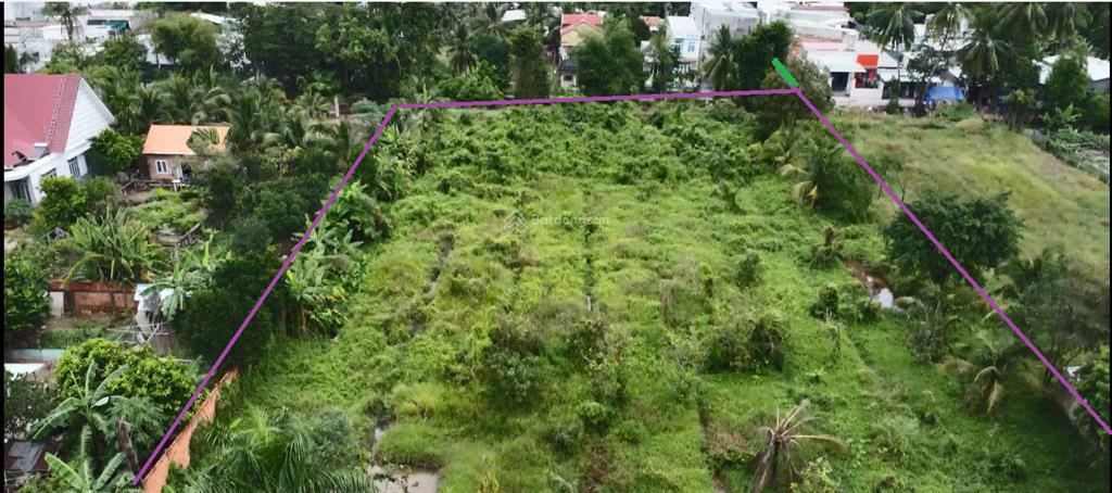 Chính chủ bán đất vườn bình mỹ 4.911 m2  hiện có 1.500 m2 thổ cư
