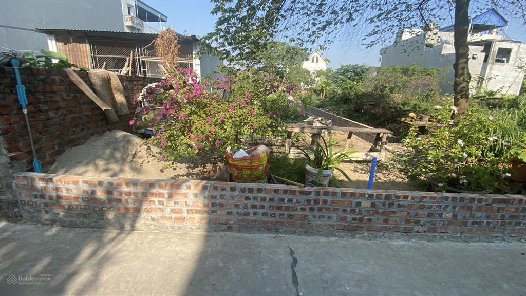 Gđ muốn bán mảnh đất 147,2 m2 vuông đất ở xóm 1 thôn đan tảo sóc sơn hà nội giá 25 tr / 1 m vuông