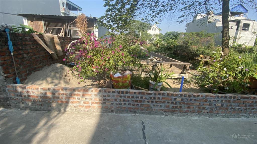 Gđ cần bán gấp 147,2 m2 vuông đất ở xóm 1 thôn đan tảo  sóc sơn  hà nội