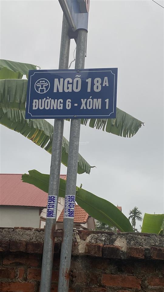 Gđ cần bán gấp 147,2 m2 vuông đất ở xóm 1 thôn đan tảo  sóc sơn  hà nội