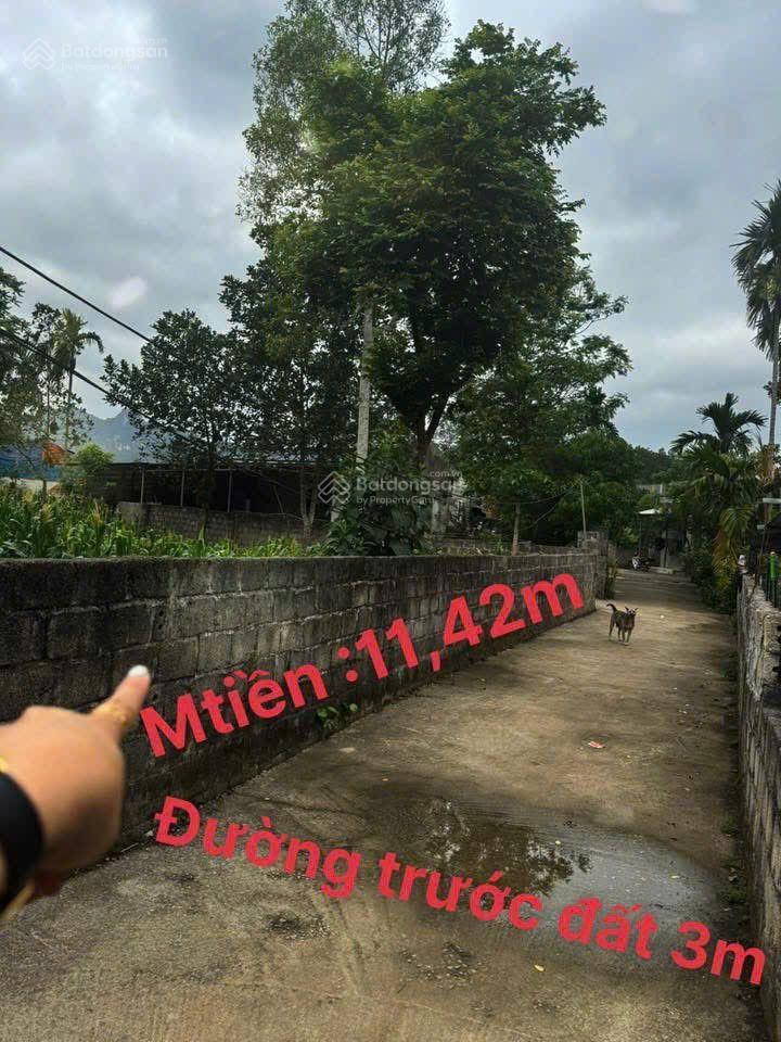 Bán đất 240m2 tại xã an phú, huyện mỹ đức, hà nội, 1,15 tỷ