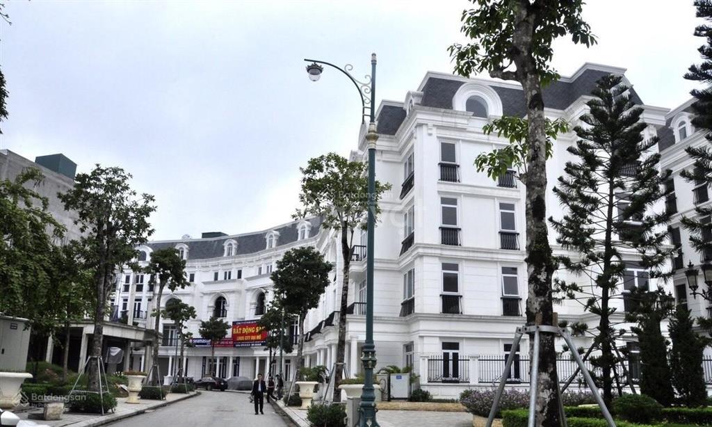 Chính chủ cần bán gấp liền kề louis city đại mỗ, sau nhà công viên, sổ đỏ, 2 thoáng, dt 105m, mt 5m