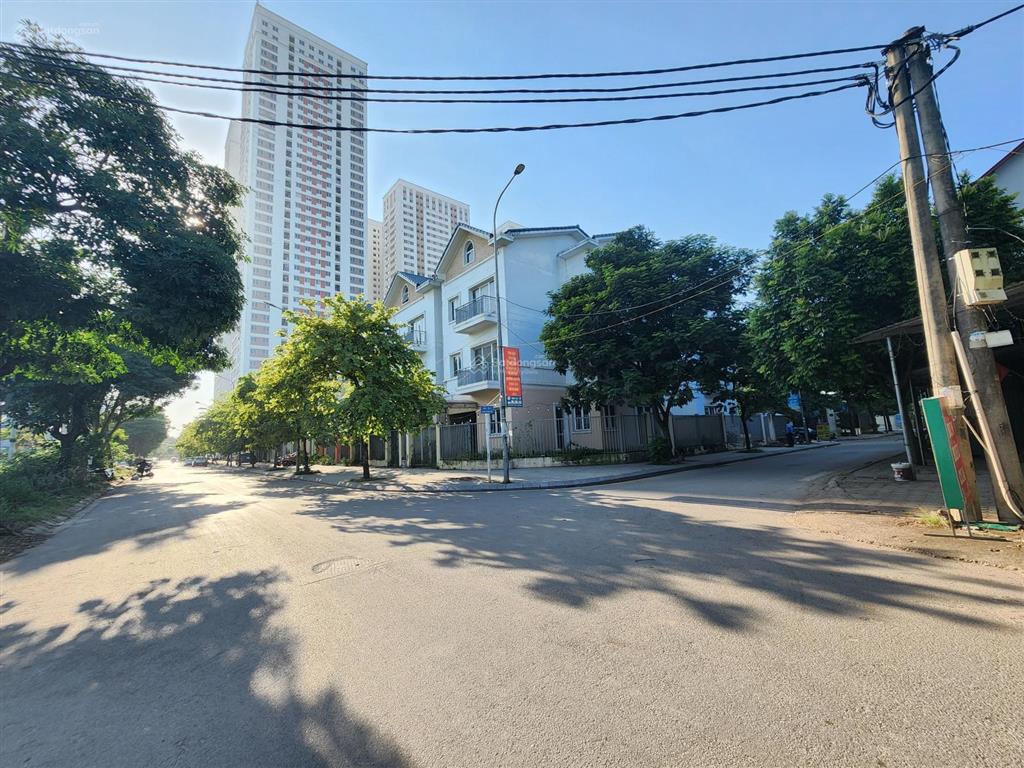 Chính chủ cần bán biệt thự song lập 135m, dãy vỉa hè 5m, kinh doanh đỉnh