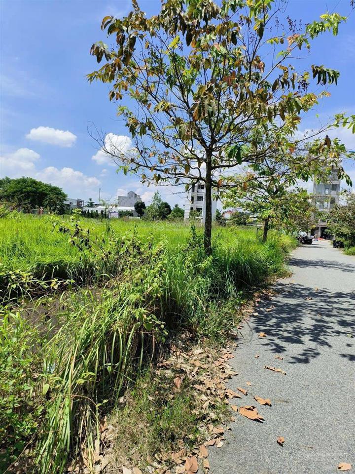 Bán 2 lô đất liền kề 10m mặt tiền gần vinhome quận 9  long bình thủ đức | hotline 0382 981 ***