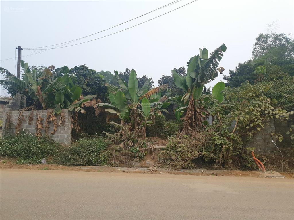 Chính chủ bán 181m2 ô góc full thổ cư mặt đường yên thái, xã đông yên, huyện quốc oai, hà nội