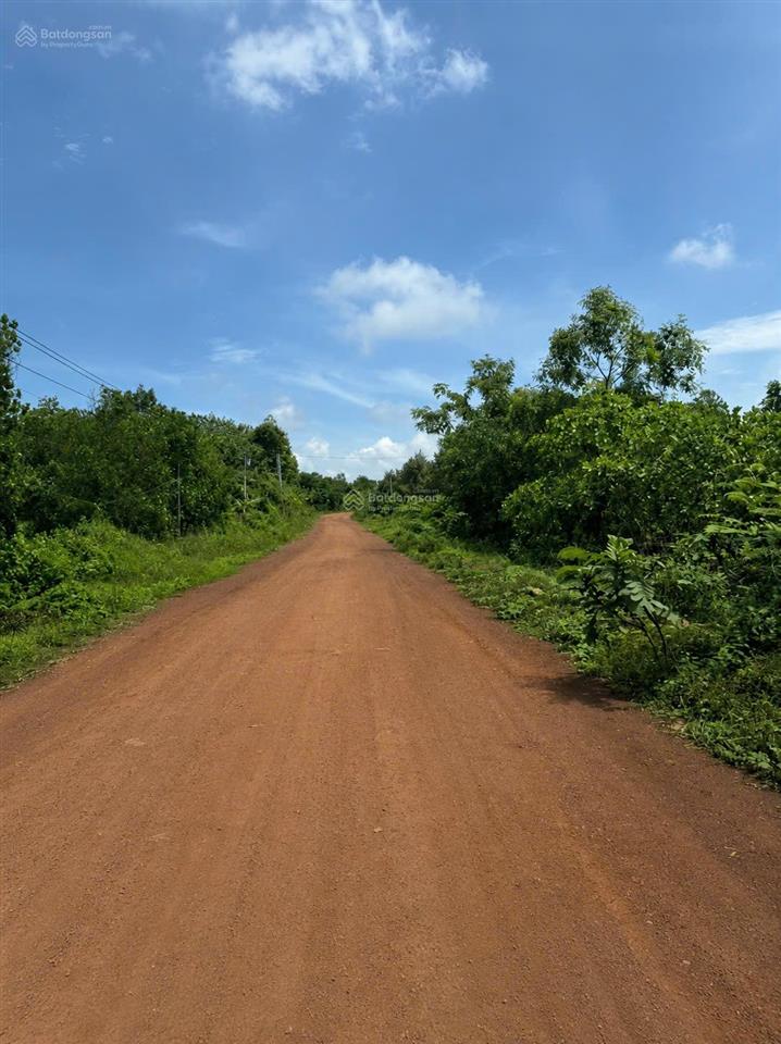 Bán gấp đất tại quốc lộ 14, xã thanh an, huyện hớn quản, 36,5 tỷ, 10000 m2
