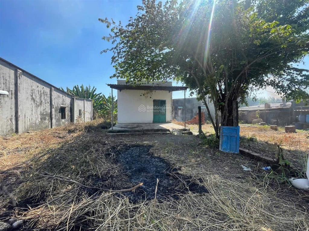 Chính chủ gửi bán lô đất biệt thự tân hưng giá rẻ! 0373 105 ***