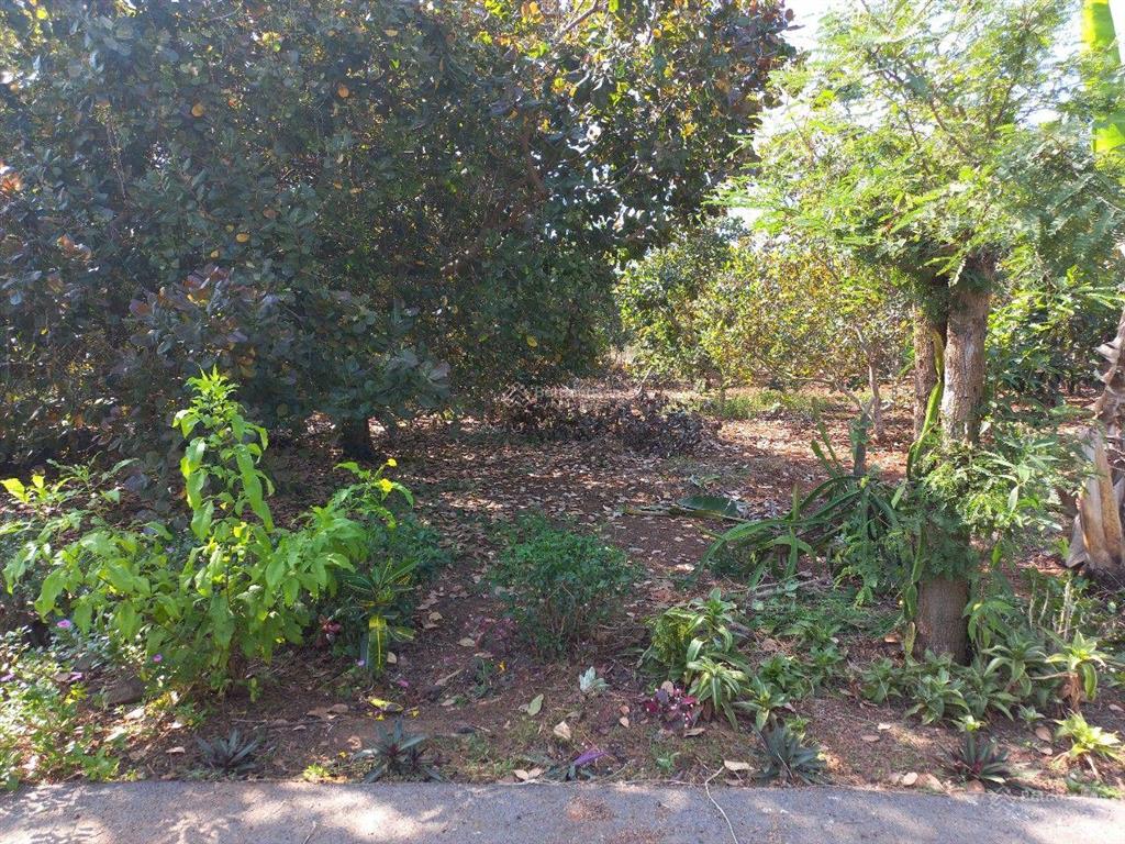 Bán đất giá siêu hời tại đường 328, hòa hội, hồ chí minh, 1,65 tỷ, 434,6 m2