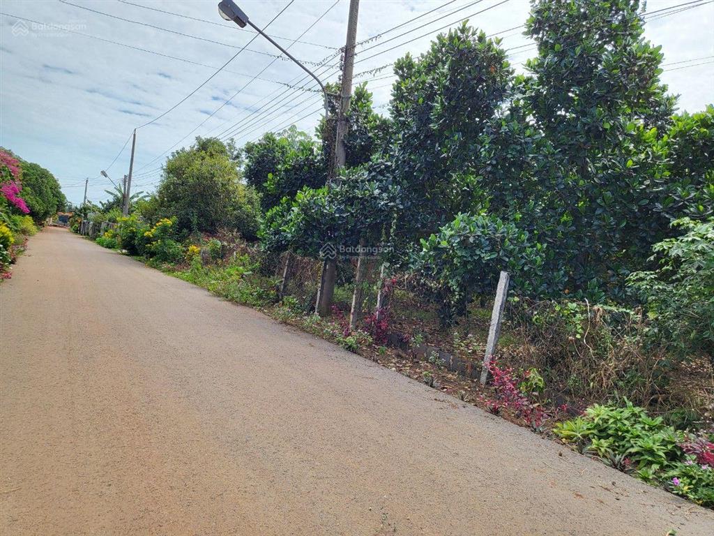 Bán đất giá siêu hời tại đường 328, hòa hội, hồ chí minh, 1,65 tỷ, 434,6 m2