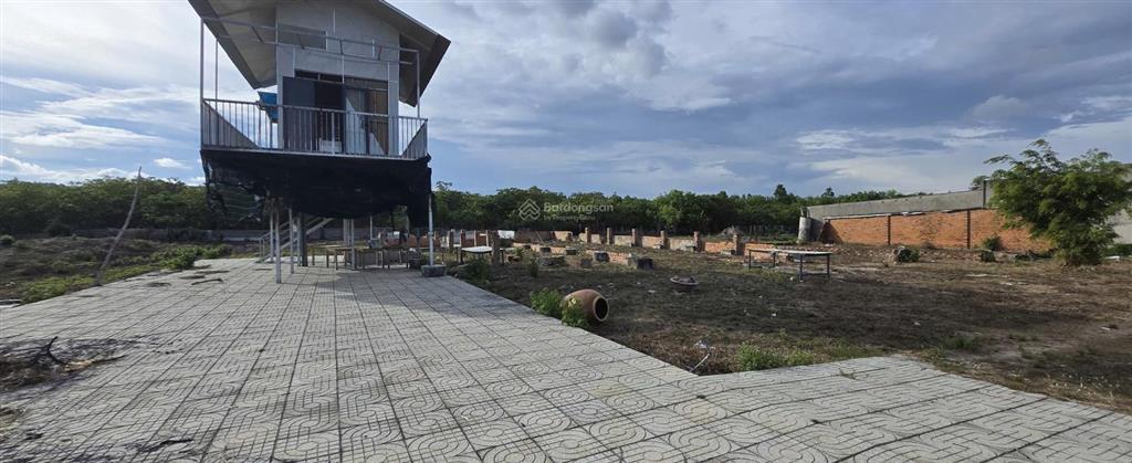 Bán nhanh 1ha đất bình châu cách biển 3km thích hợp làm khu nghỉ dưỡng, homestay
