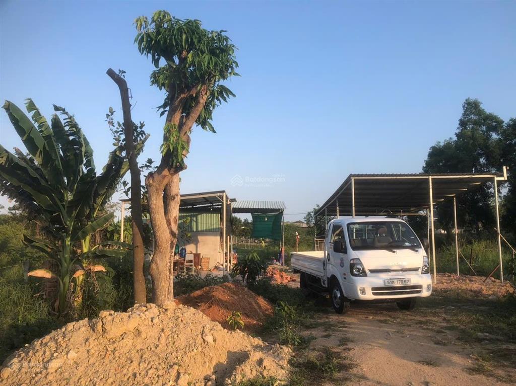 Bán nhà đất nhà vườn 532m2  15mx36m  châu pha  thành phố phú mỹ  brvt  (tp hcm) mới