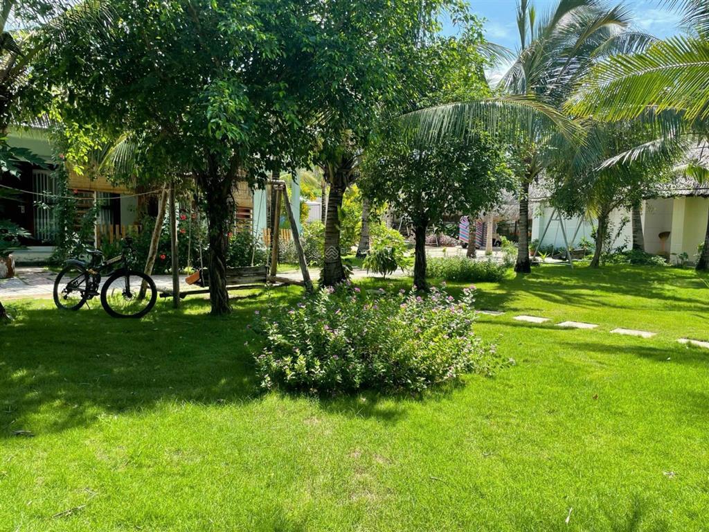Cần bán gấp homstay biển phước hải đi bộ ra bãi biển giá cực tốt (1800m2 giá chỉ 24 tỷ)