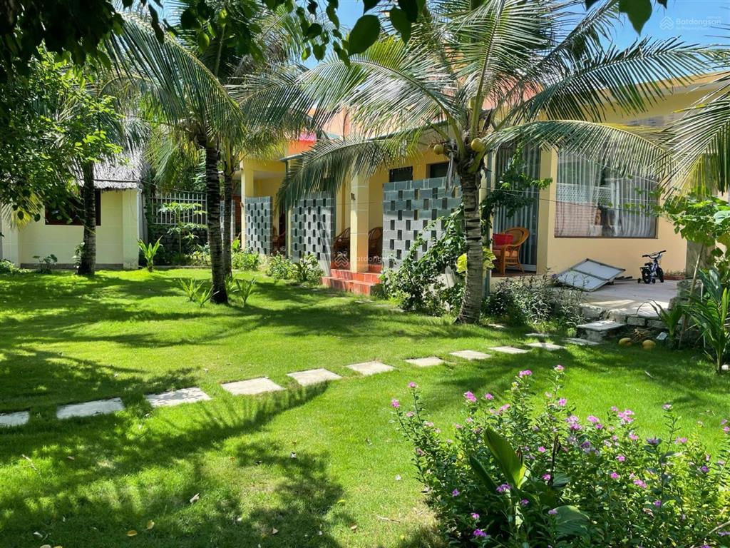 Cần bán gấp homstay biển phước hải đi bộ ra bãi biển giá cực tốt (1800m2 giá chỉ 24 tỷ)
