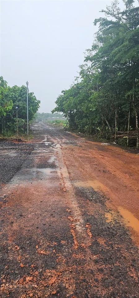 Cần tiền bán đất 1000m2, tại xã sông trầu, huyện trảng bom cũ, làm nhà, hoặc trồng cây vườn
