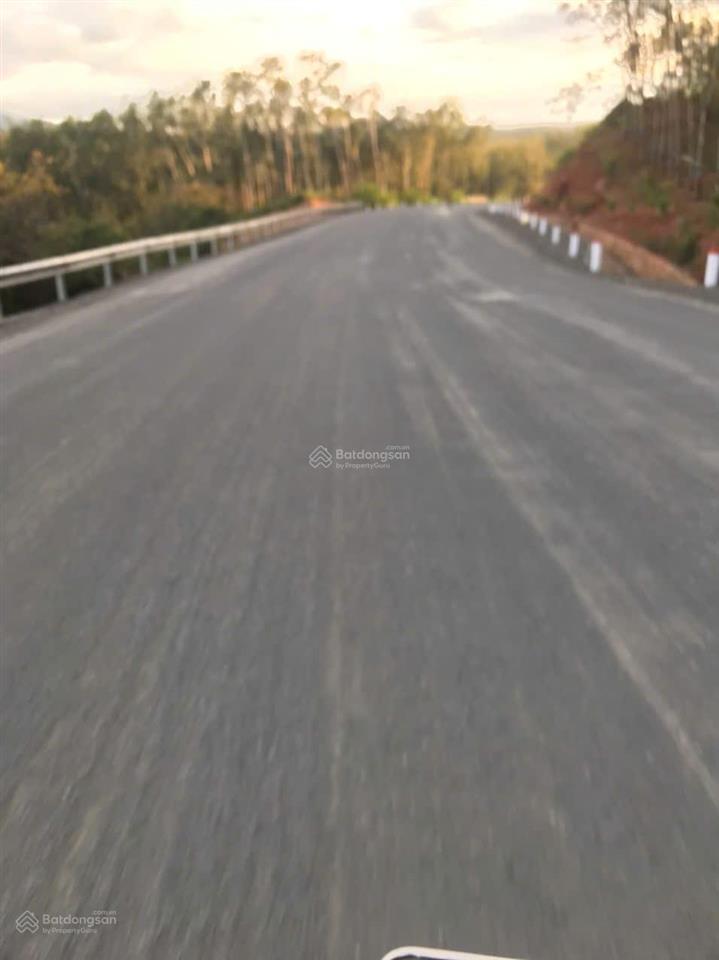Cần bán 2.3 ha đất trồng điều đang thu hoạch, đang cho thuê 45tr/năm
