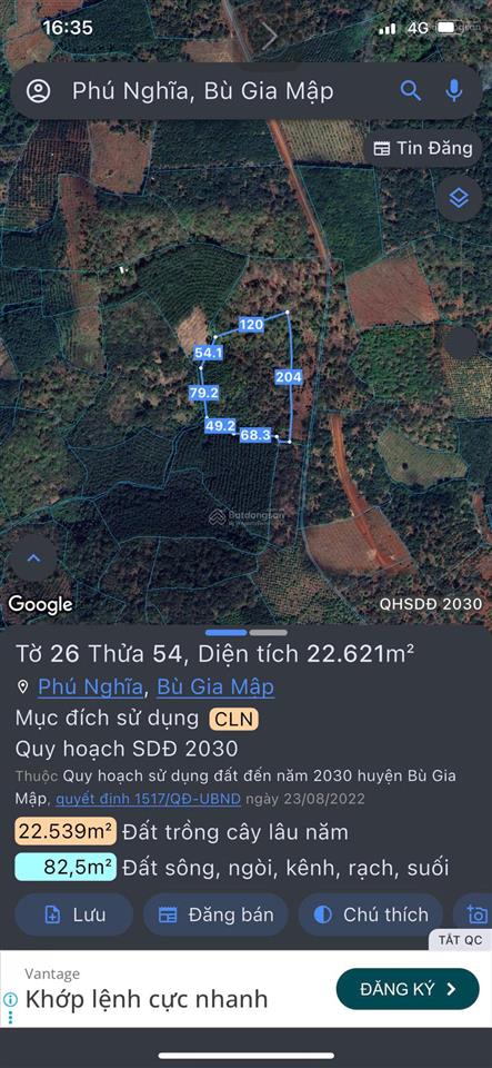 Cần bán 2.3 ha đất trồng điều đang thu hoạch, đang cho thuê 45tr/năm