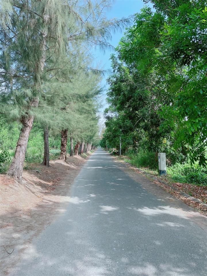 Bán gấp nền đất giá 4,8 tỷ kdc 13c greenlife đường nguyễn văn linh, sổ đỏ, ngân hàng hỗ trợ vốn
