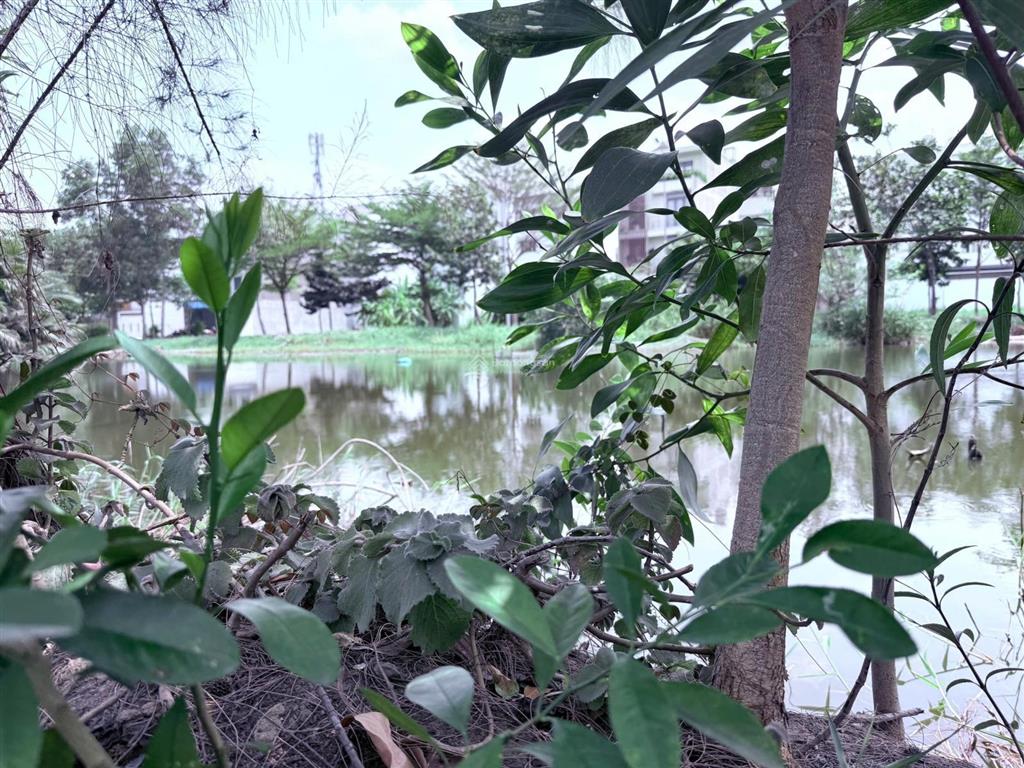 Bán đất đường vành đai trong kdc 13c greenlife xã bình hưng giá rẻ