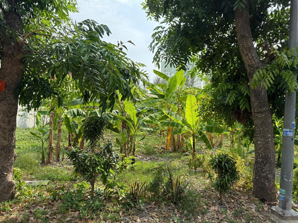Bán đất đường vành đai trong kdc 13c greenlife xã bình hưng giá rẻ