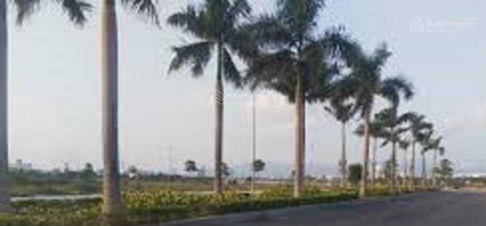 Cần bán đất đường 29/3 ( hàng dừa), hoà xuân vị trí đẹp giá tốt