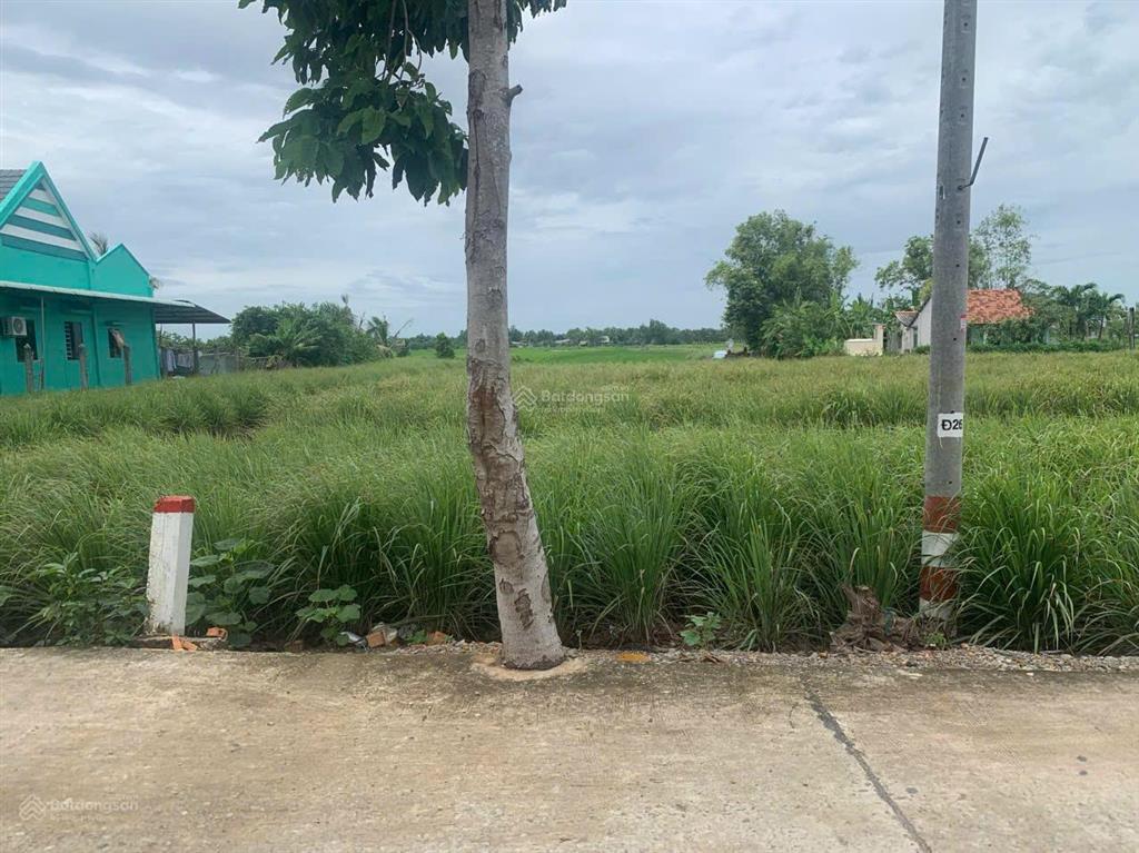 Đất chính chủ 2872m², mặt tiền đường ô tô, quy hoạch thổ cư, cách vinhomes cần giuộc chỉ 1 km