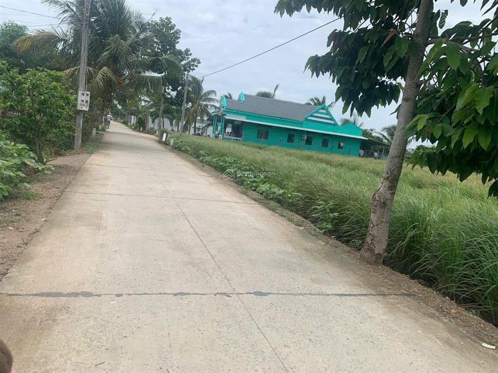 Đất chính chủ 2872m², mặt tiền đường ô tô, quy hoạch thổ cư, cách vinhomes cần giuộc chỉ 1 km