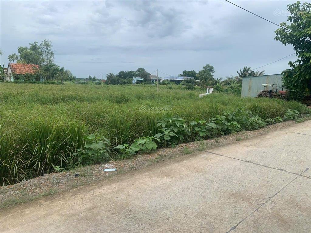 Đất chính chủ 2872m², mặt tiền đường ô tô, quy hoạch thổ cư, cách vinhomes cần giuộc chỉ 1 km