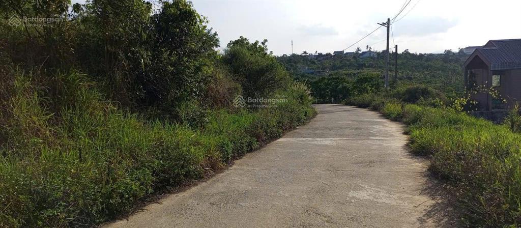 Chính chủ bán vườn cafe có diện tích 2069m2. giá 6.5 tỷ. điện nước đầy đủ