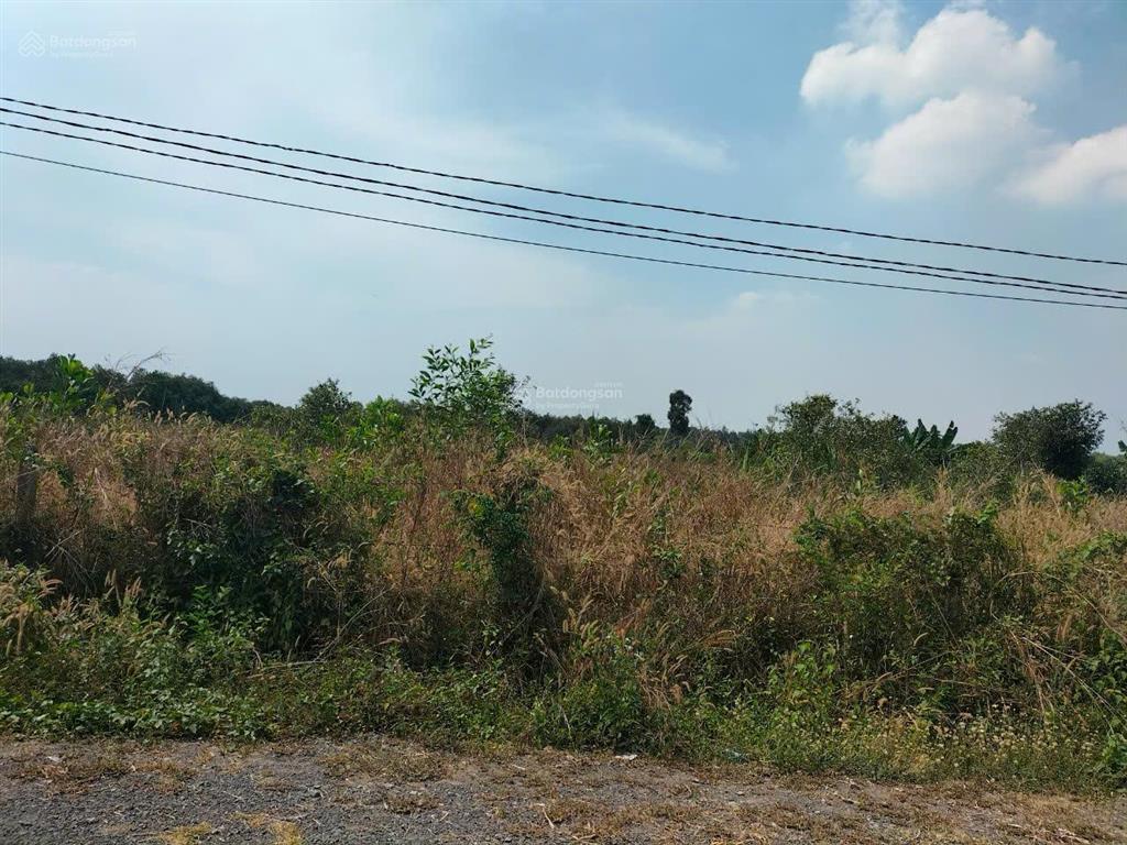 Bán đất diện tích lớn xã phước hiệp, huyện củ chi, tp. hcm