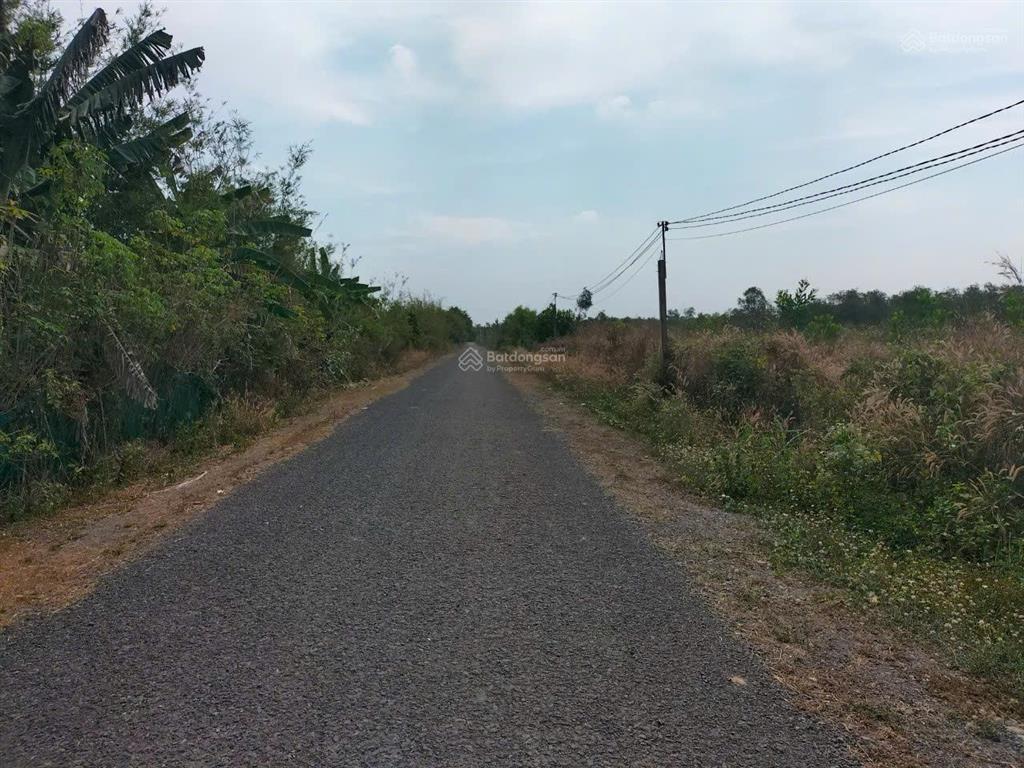 Bán đất diện tích lớn xã phước hiệp, huyện củ chi, tp. hcm