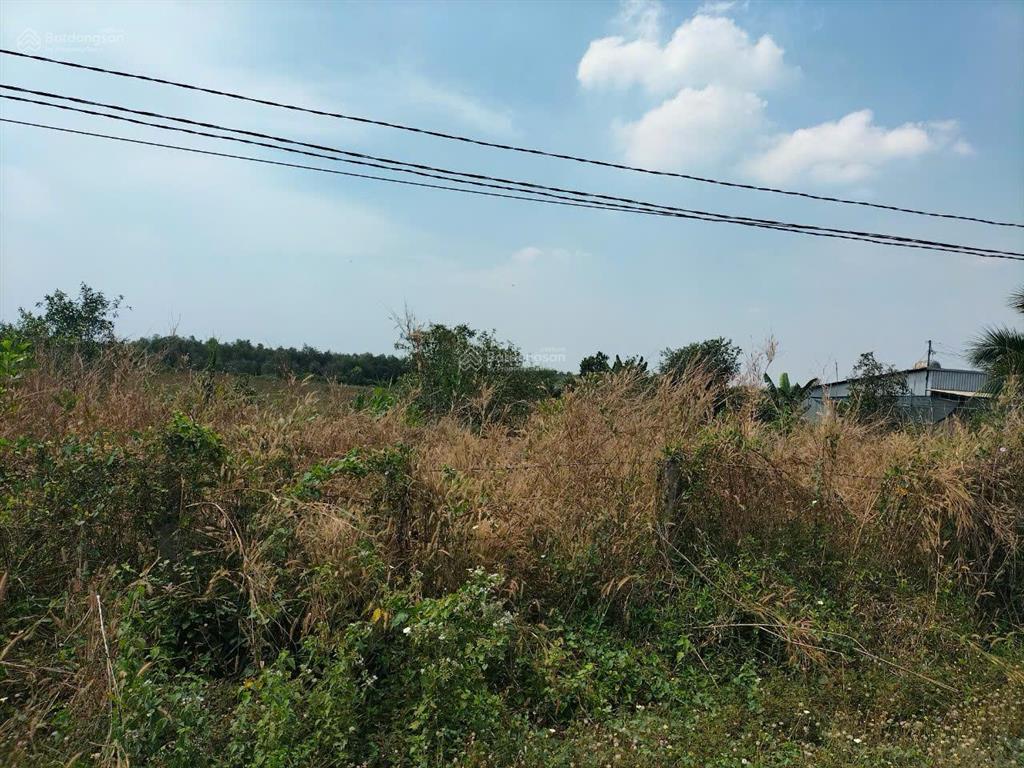 Bán đất diện tích lớn xã phước hiệp, huyện củ chi, tp. hcm