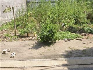 Bán đất kdc nam sài gòn long hậu ,cần giuộc, long an
ngay khu công nghiệp long hậu 10x28m giá tốt