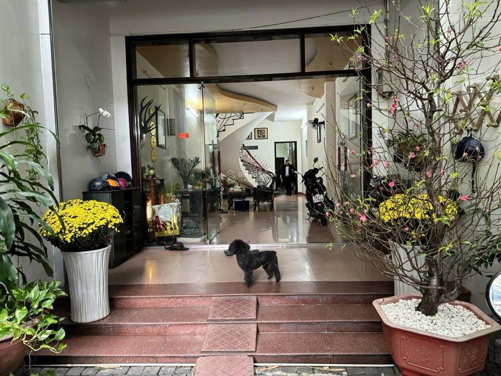 Cho thuê nhà mặt tiền đường quang trung, gần đại học duy tân  trung tâm hành chính thành phố