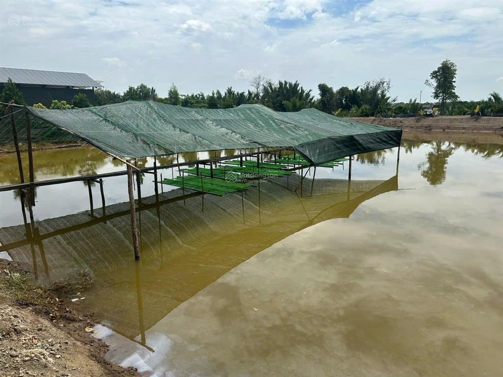 Cho thuê 4ha đất mặt tiền lý nhơn, xã lý nhơn  cần giờ. giá 16tr/tháng