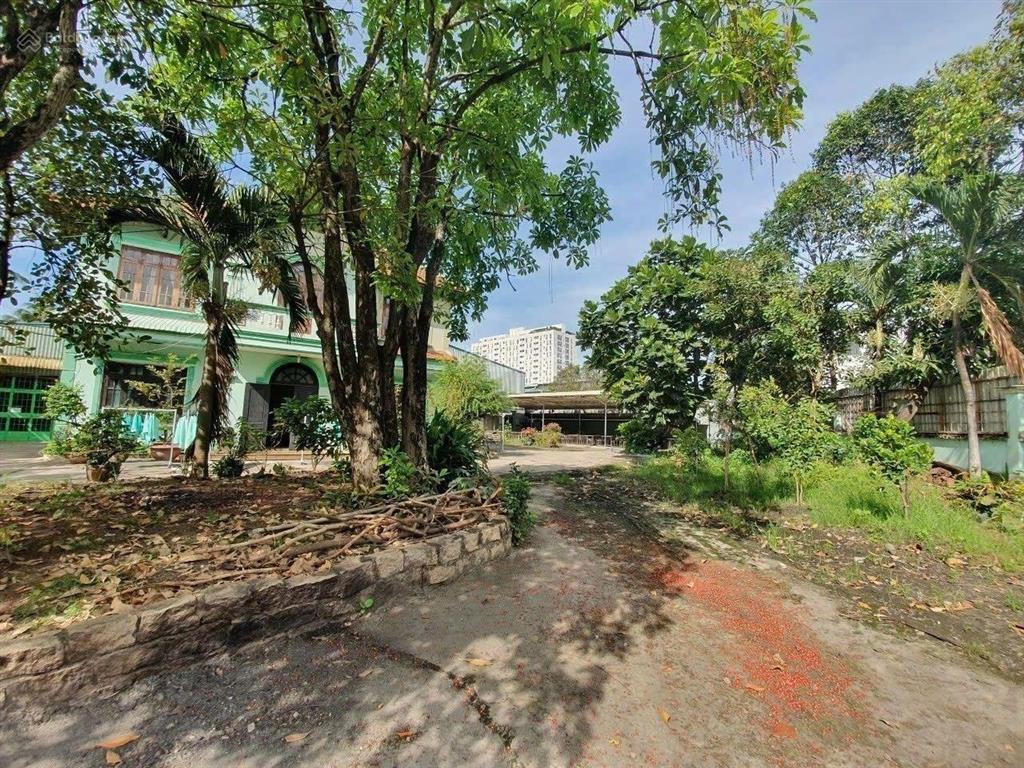 Định cư bán gấp đất có nhà,nhà xưởng dt 5.564m2 ngang 100m. còn tl mạnh.ngay khu đô thị trường thọ