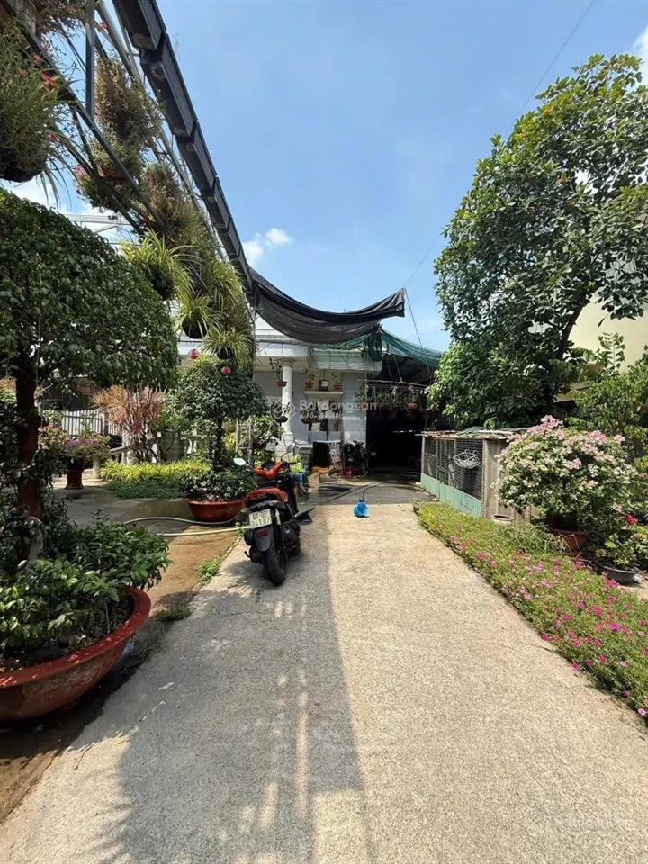 Biệt thự vườn 600m² ngay trung tâm hành chính thủ đức  15,8x42m  tiện xây cao tầng  phân lô