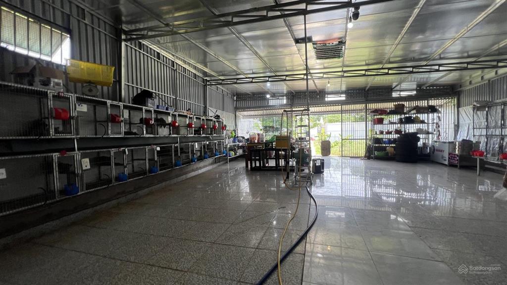 Bán trại chồn mt xuyên phước cơ, ở và kinh doanh tốt
