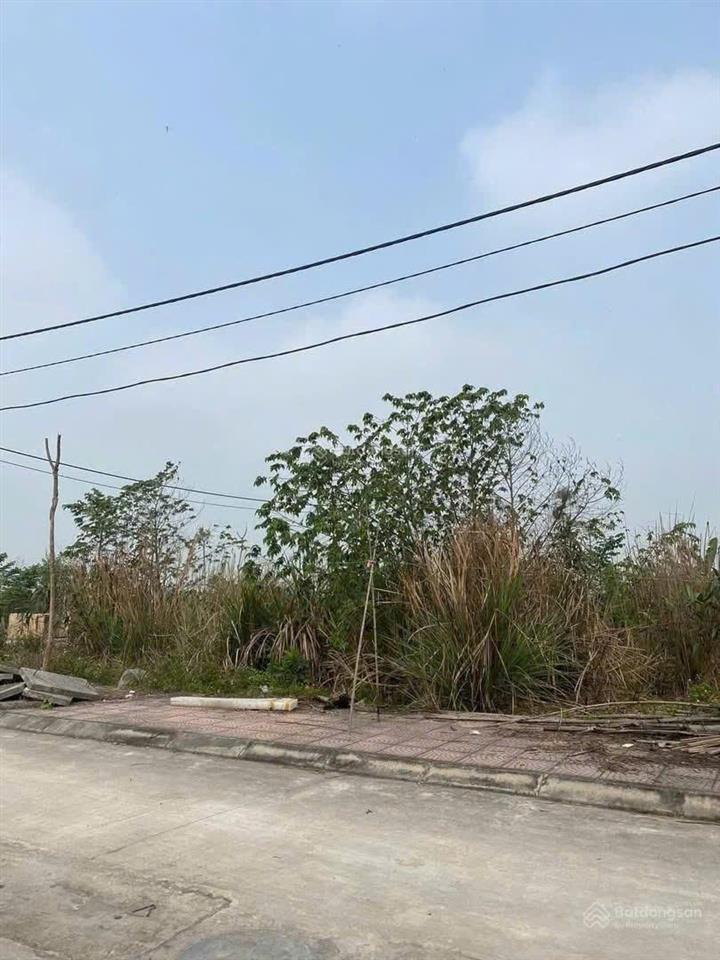 Chính chủ bán lô đất đấu giá lk02  4, 138,5m2, mt 6m xã hòa lâm(cũ) thôn cống khê, xã ứng hòa